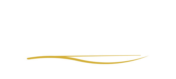 Vellum partner mark